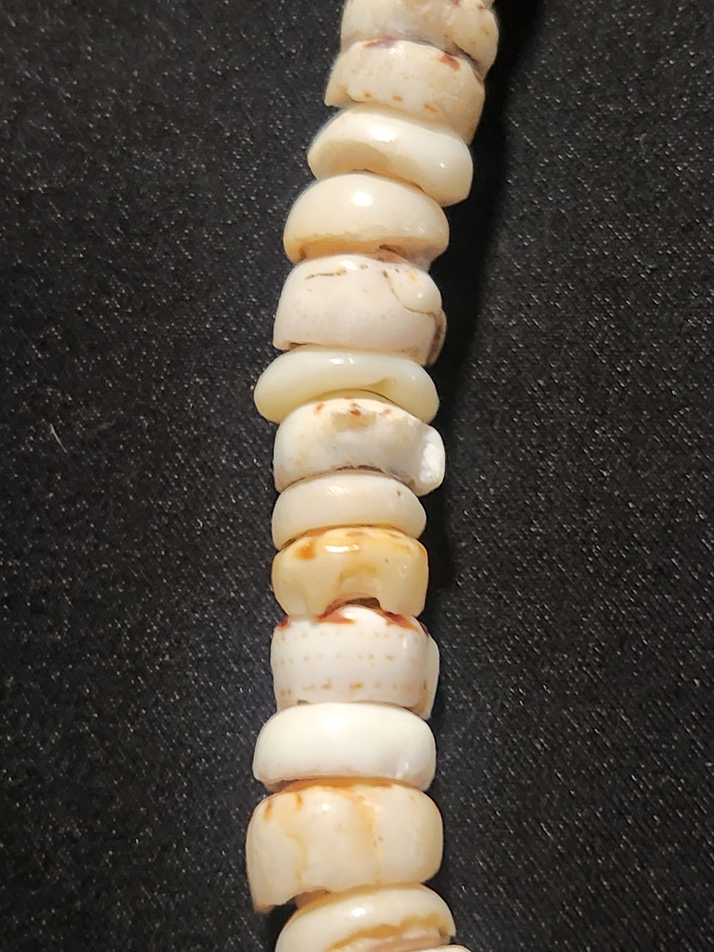 Vintage 1970s Authentic Tiger Puka Shell Choker Necklace - Picture 3 of 6